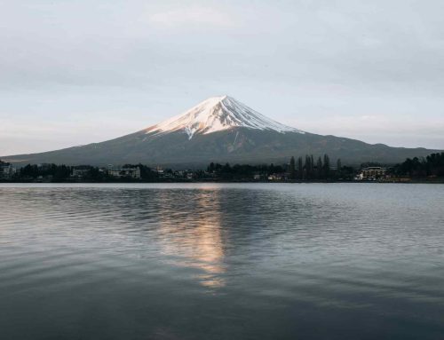 日本に帰国しました。